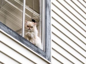 Telas de proteção para escolas em Fortaleza