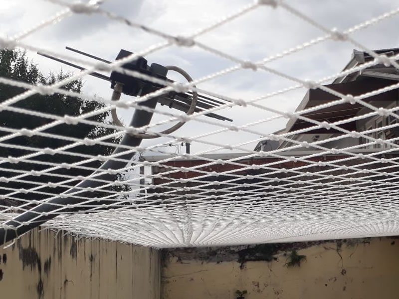 Telas de segurança para pets em Fortaleza