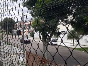 Telas de proteção para pets em Fortaleza