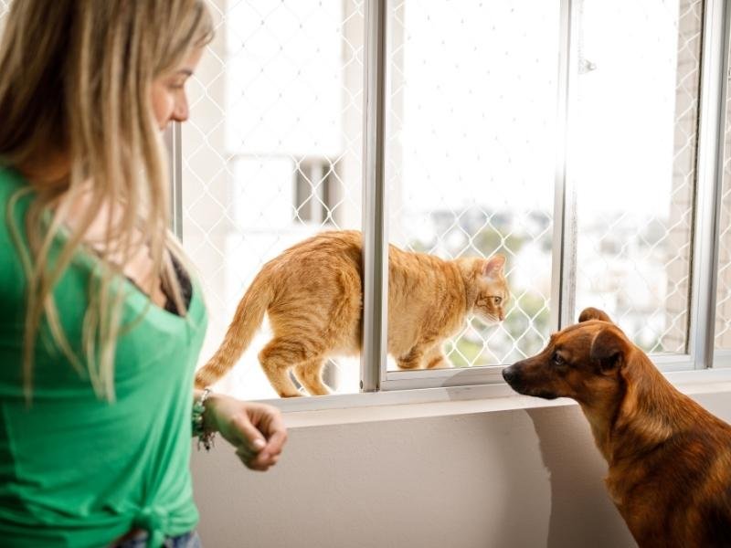 Telas de proteção em prédios em Fortaleza