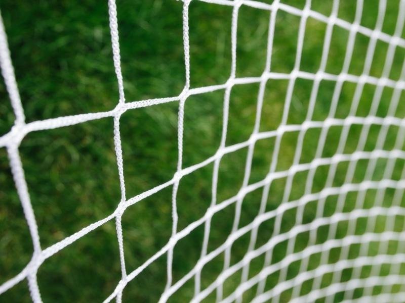 Garanta a segurança de animais com rede protetora em Fortaleza