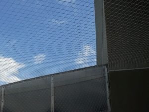 Redes de segurança para Gatos em Fortaleza