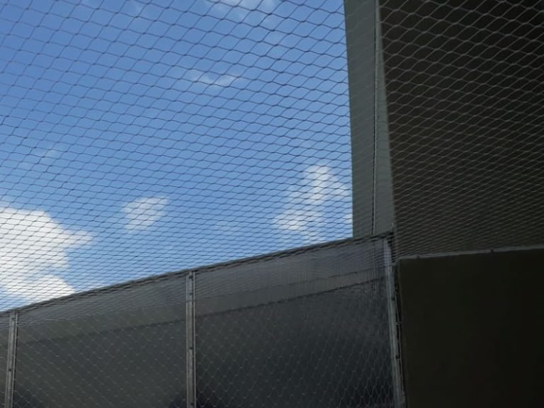 Redes de segurança para Gatos em Fortaleza