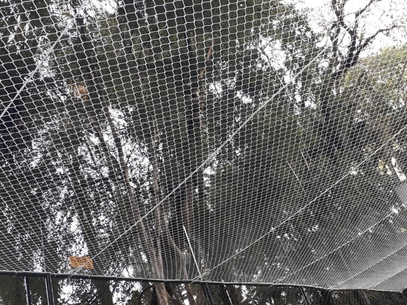 Rede de Proteção Fortaleza