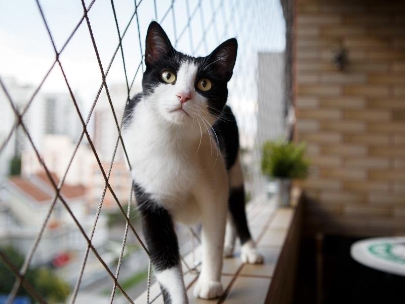 Redes de Proteção Cumbuco