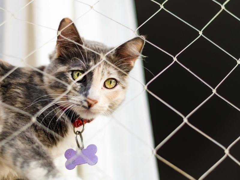 Redes de Proteção Aquiraz